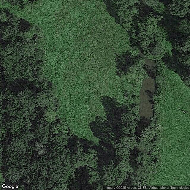 Přírodní památka Moravská Dyje