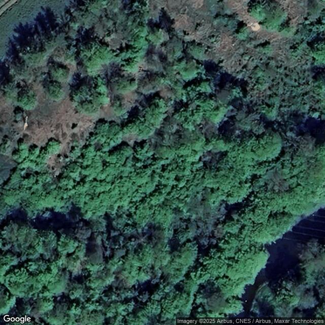 Přírodní rezervace Údolí Oslavy a Chvojnice