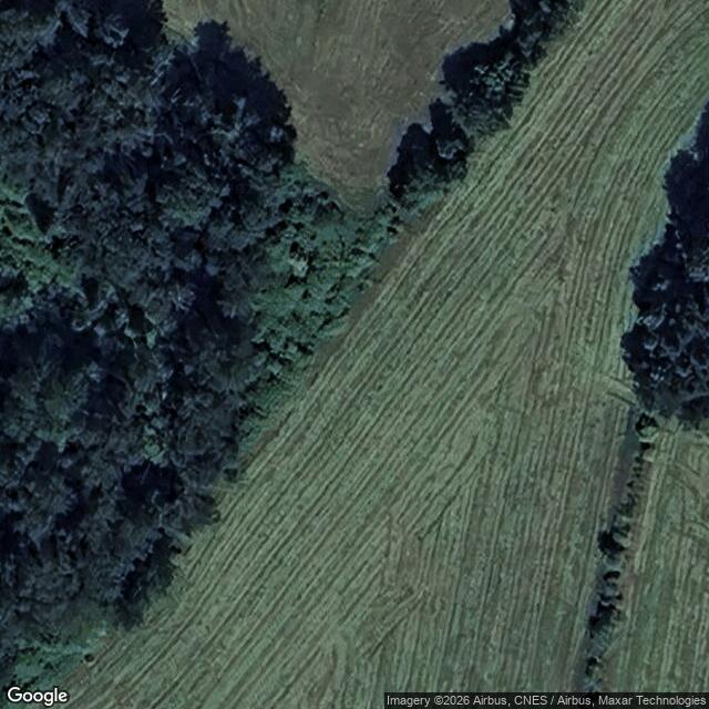 Přírodní památka Veselská blata