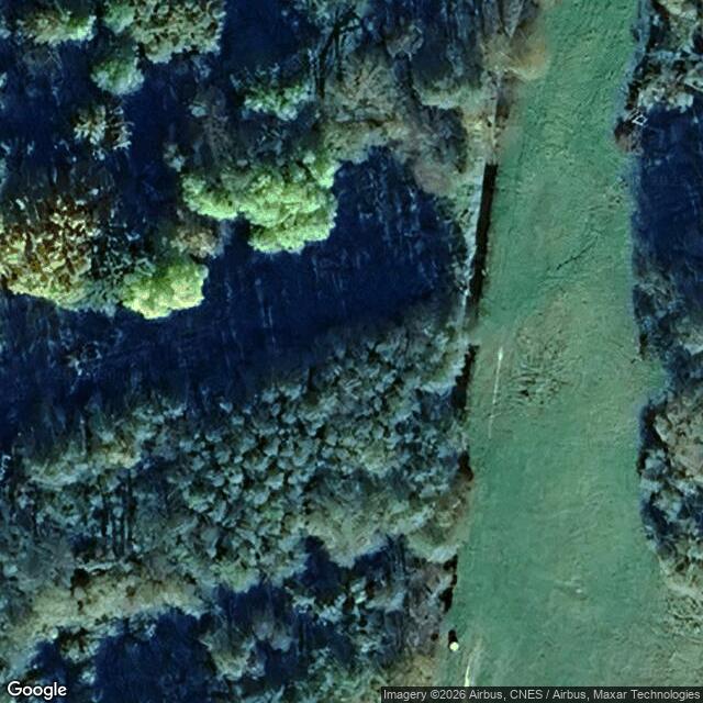 Přírodní památka Sokolí hnízdo a bažantnice