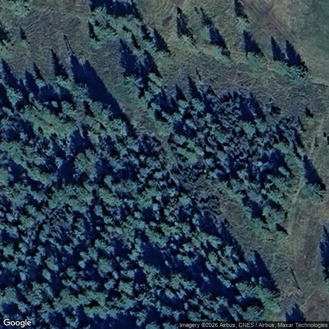 Přírodní památka Pohořské rašeliniště