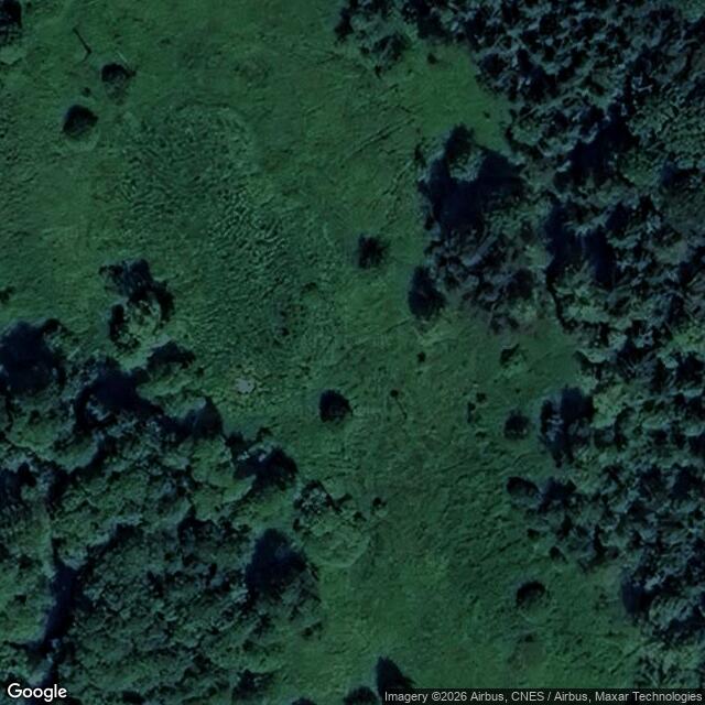 Přírodní památka Zlatý potok v Pošumaví