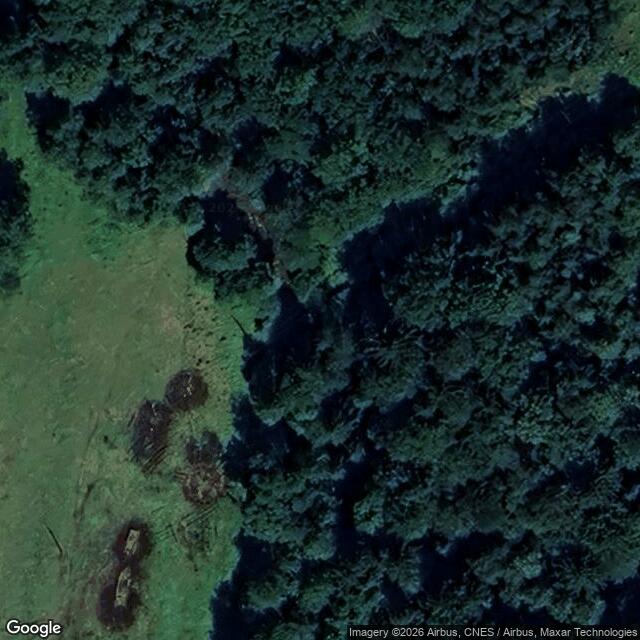 Přírodní památka Zlatý potok v Pošumaví