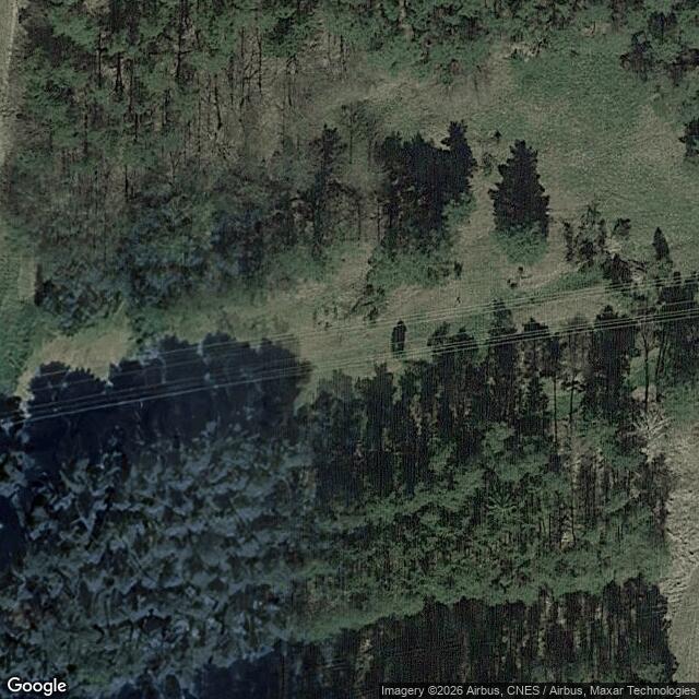 Přírodní památka Černýšovické jalovce