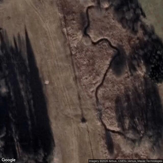 Přírodní rezervace mendry Jankovského potoka