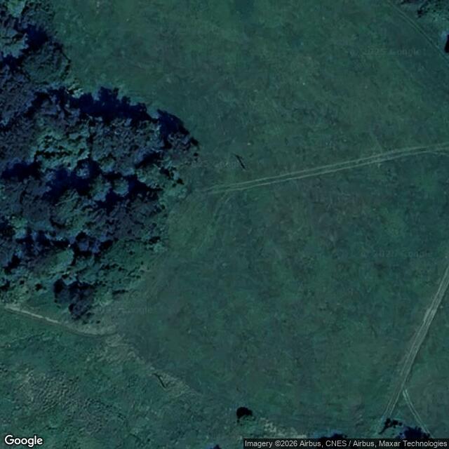 Přírodní rezervace prameniště Jankovského potoka