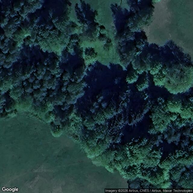 Přírodní rezervace Bažiny