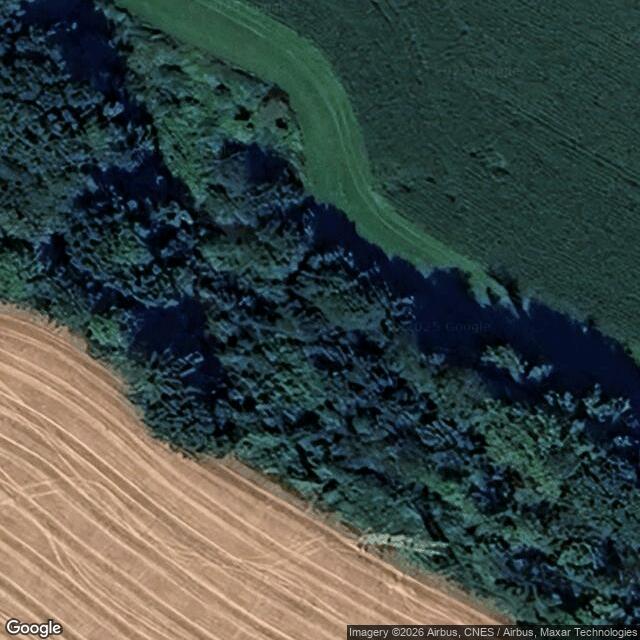 Přírodní památka Dědina u Dobrušky