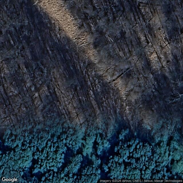 Přírodní rezervace Kováčská bažantnice