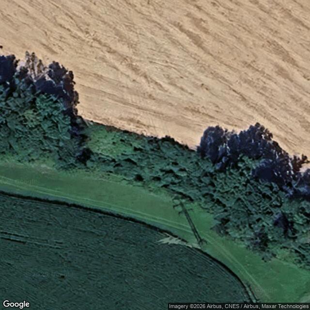 Přírodní památka Skalecký háj