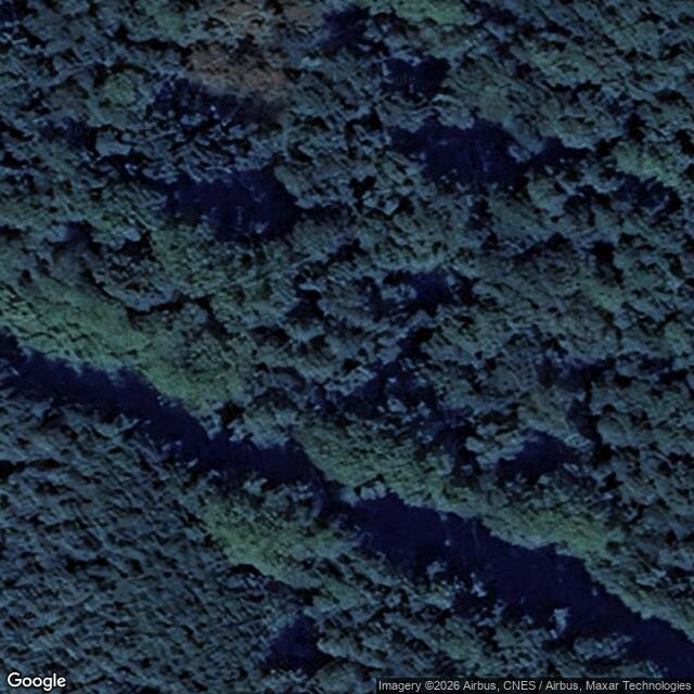 Přírodní památka Týnišťské Poorličí