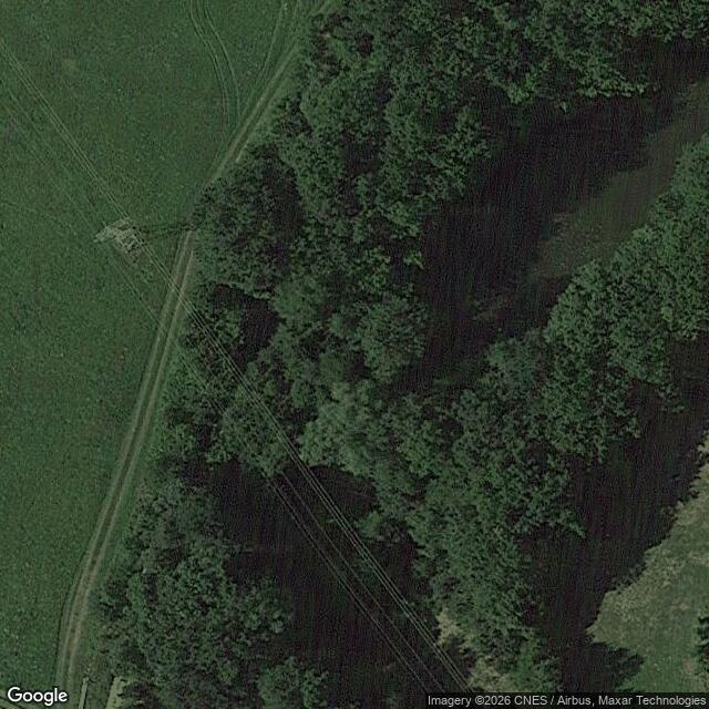 Přírodní památka Borecké skály