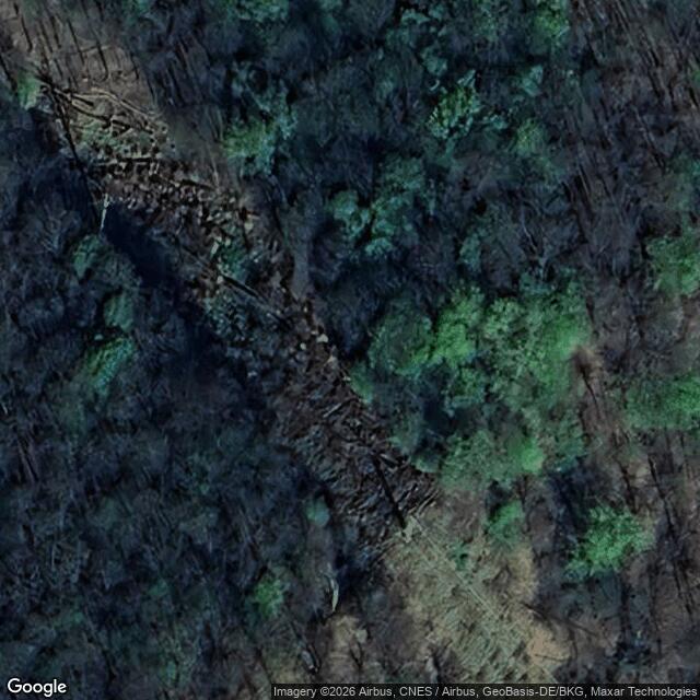 Přírodní památka Hamrštejn