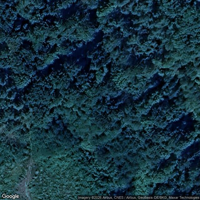 Přírodní památka Kaňon potoka Kolné