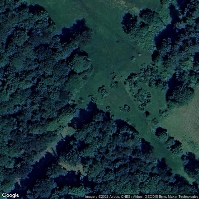 Přírodní památka Růžděcký Vesník