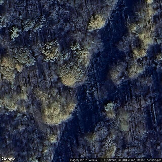 Přírodní památka Trnovec