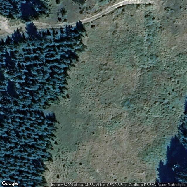 Přírodní památka Na Loučkách II