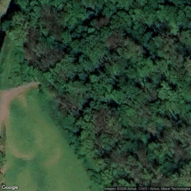 Přírodní rezervace Pístecký les