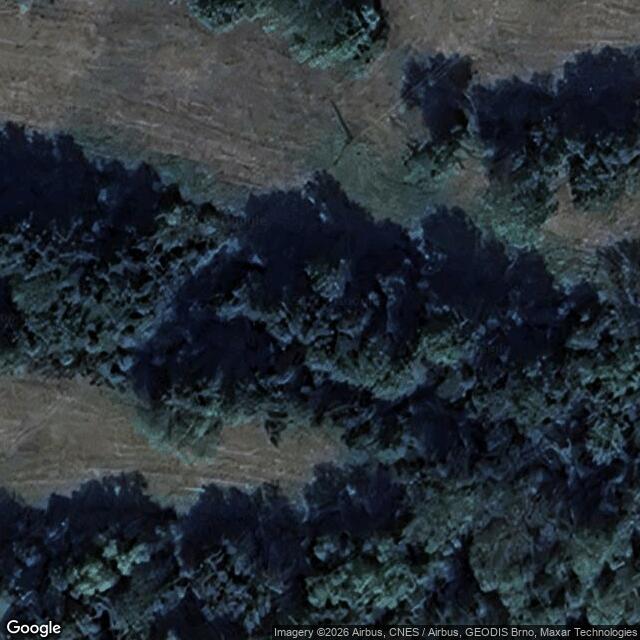 Přírodní památka Vinařský rybník