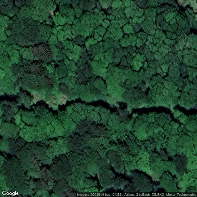 Přírodní rezervace Vlčí důl