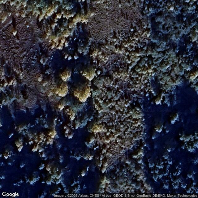 Přírodní památka Rašeliniště u Polínek