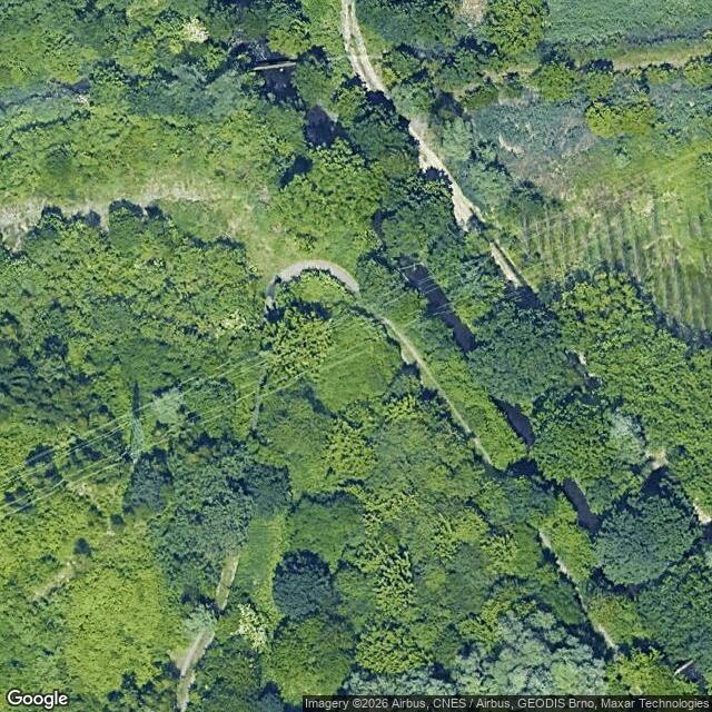 Přírodní památka Heřmanický rybník