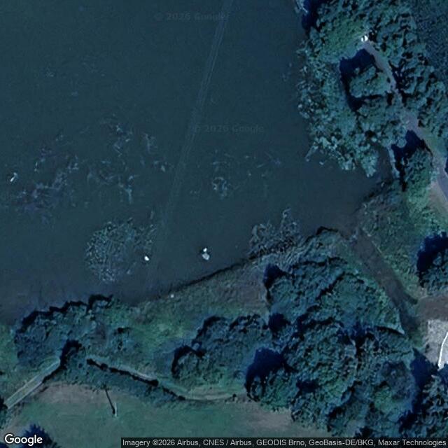 Přírodní rezervace Zbynické rybníky