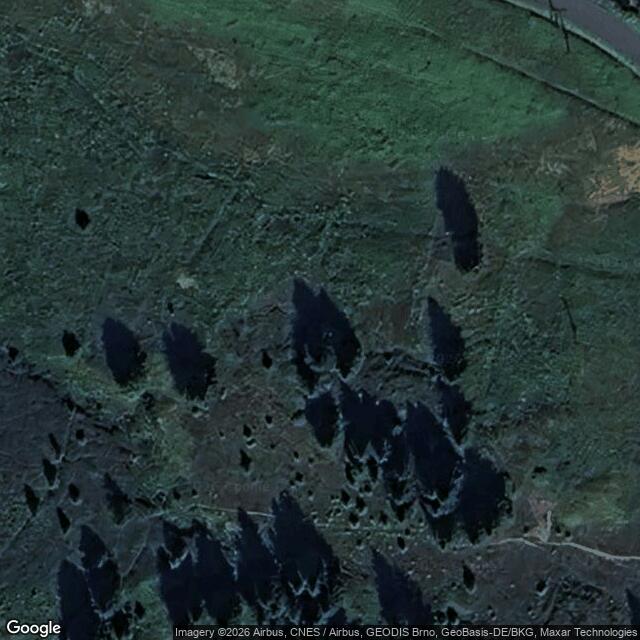 Přírodní památka Přebuzské vřesoviště