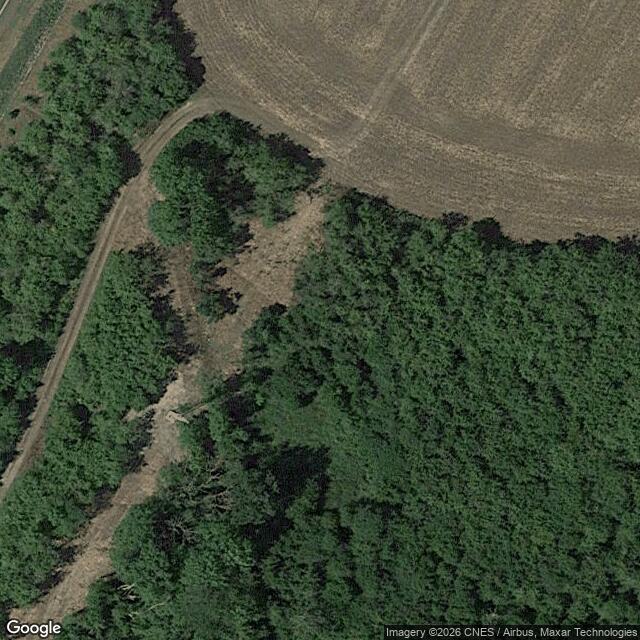 Přírodní památka Chlum u Nepřevázky