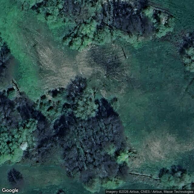 Přírodní památka Louky u Budenína