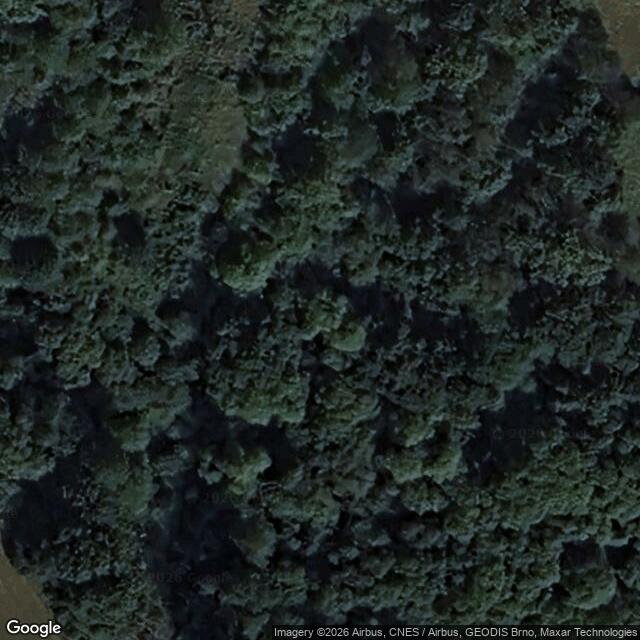 Přírodní rezervace Luční potok