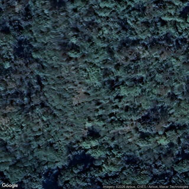 Přírodní rezervace Máslovická stráň