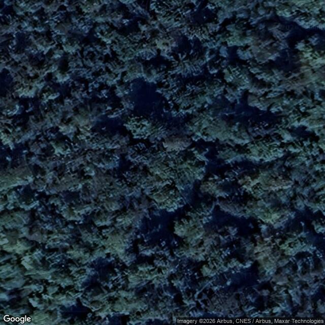 Přírodní rezervace Máslovická stráň