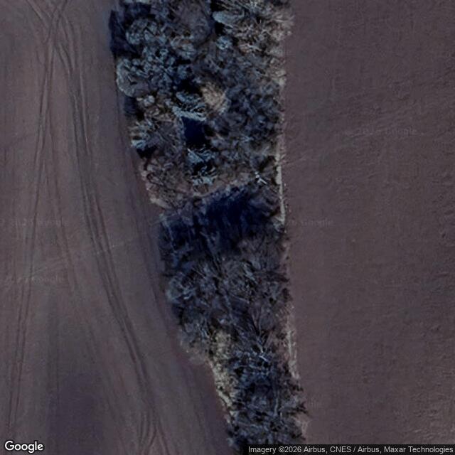 Přírodní památka Nový rybník u Kačiny