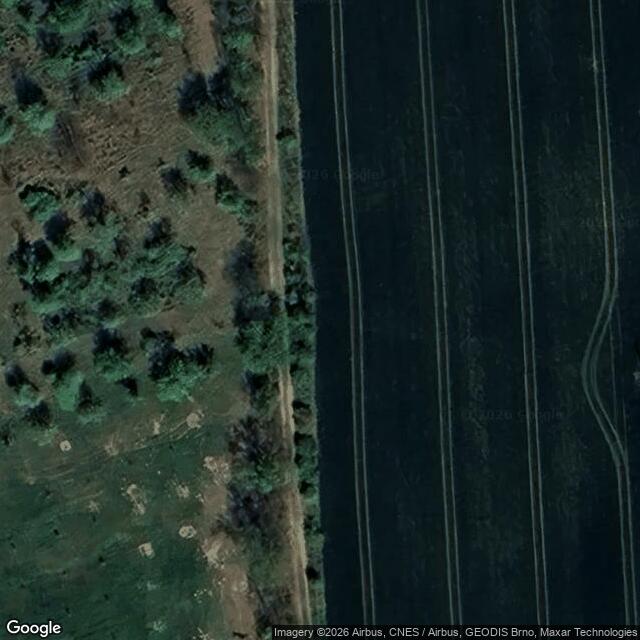 Přírodní památka Lesy u Bezuchova