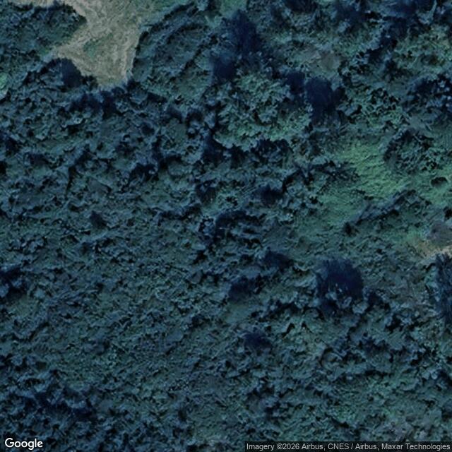 Přírodní rezervace Podhůrka