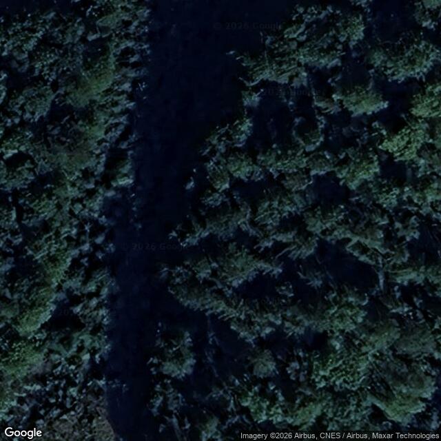 Přírodní rezervace Posázavské bučiny