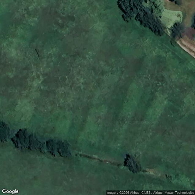 Přírodní památka Slatinná louka u Velenky