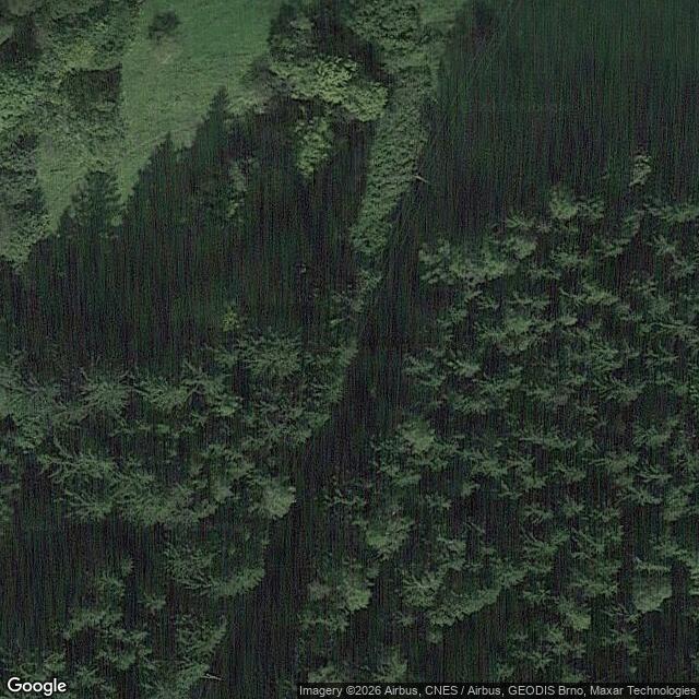 Přírodní památka Poláchovy stráně - Výří skály