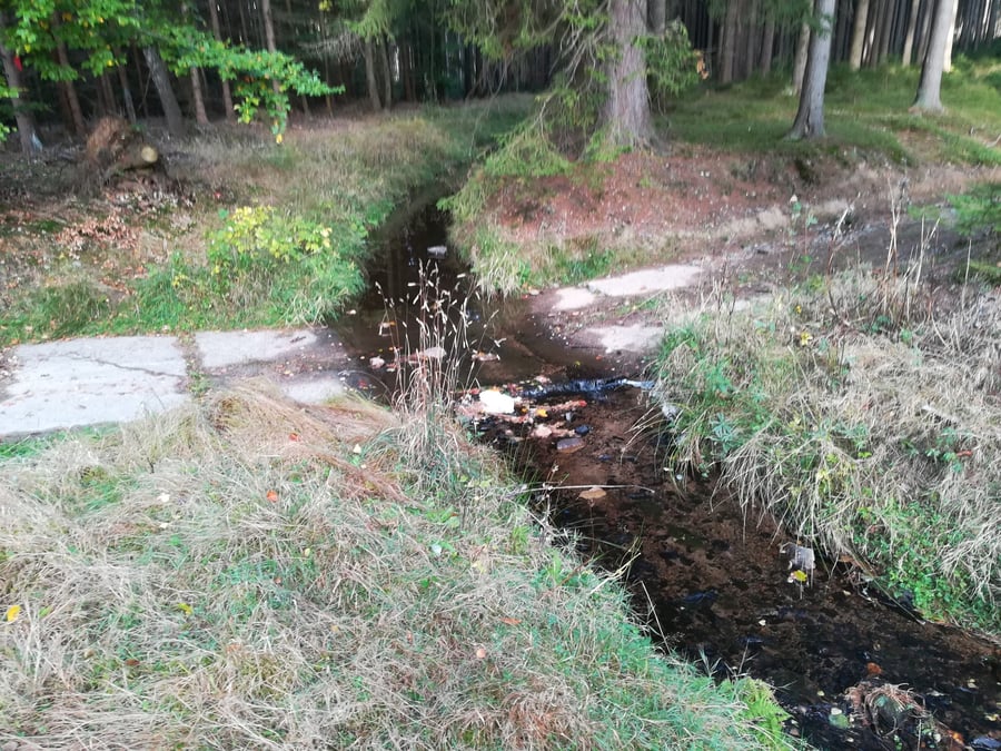 Brod  PR Rašeliniště u myslivny