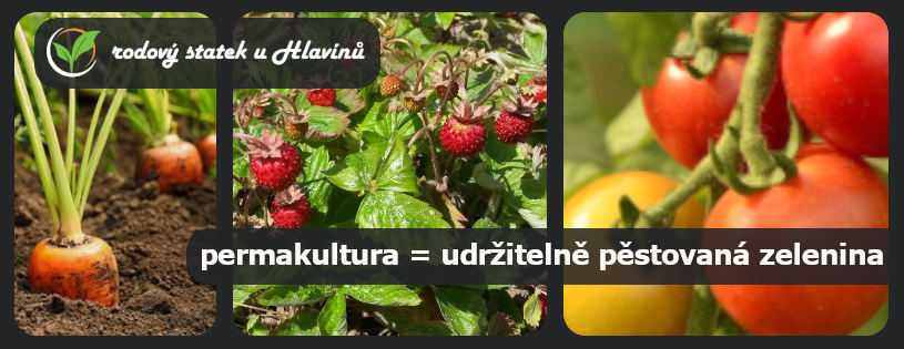 rodový statek u Hlavínů