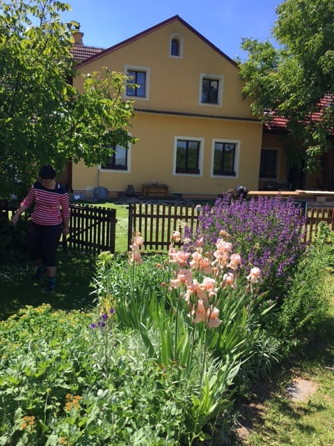 Farma Aronia Jan Voběrek