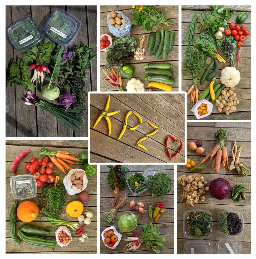 KPZ Ekozahrada Raková - Odběrné místo Letkov