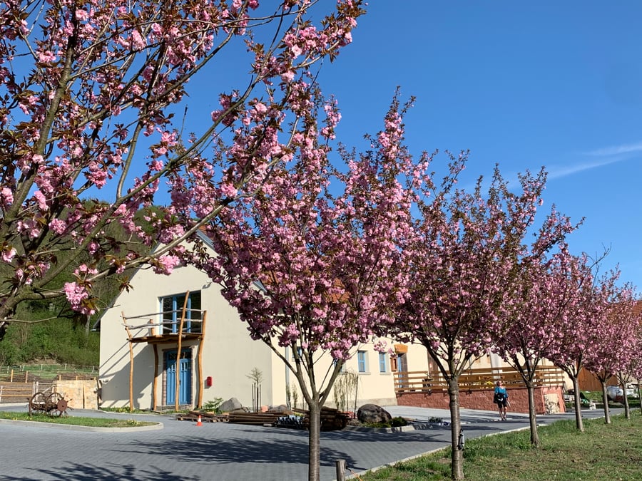 BioFarma Františkov
