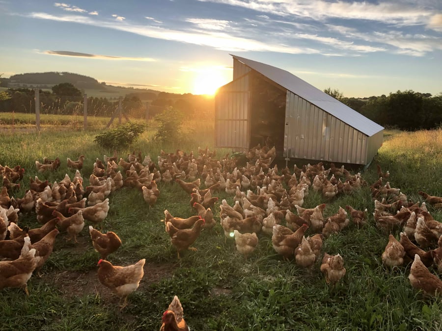 Farma Štamberk