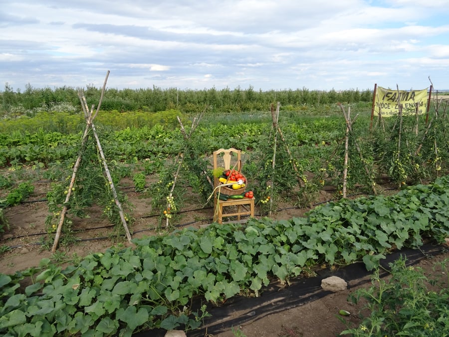Farma Ovoce Zelenina Třebovle