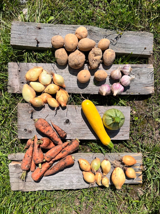 kulturní centrum PUNCTUM