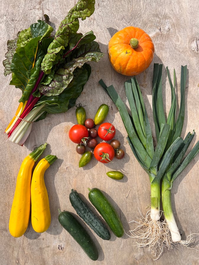 Komunitní centrum Přístav 7