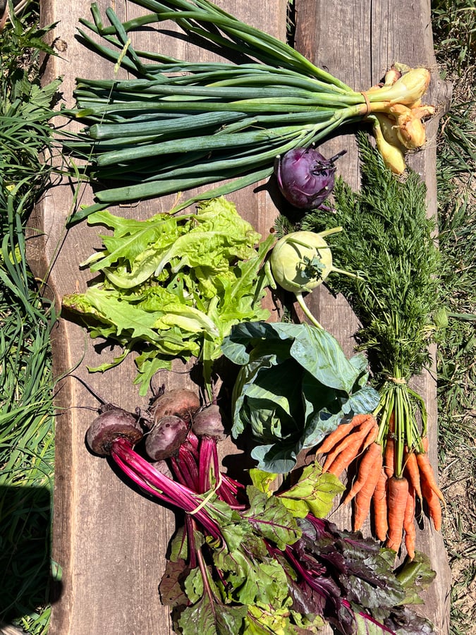 KPZ Mníšek pod Brdy