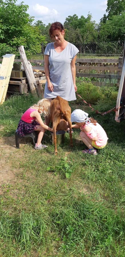 Farma U tří koníků